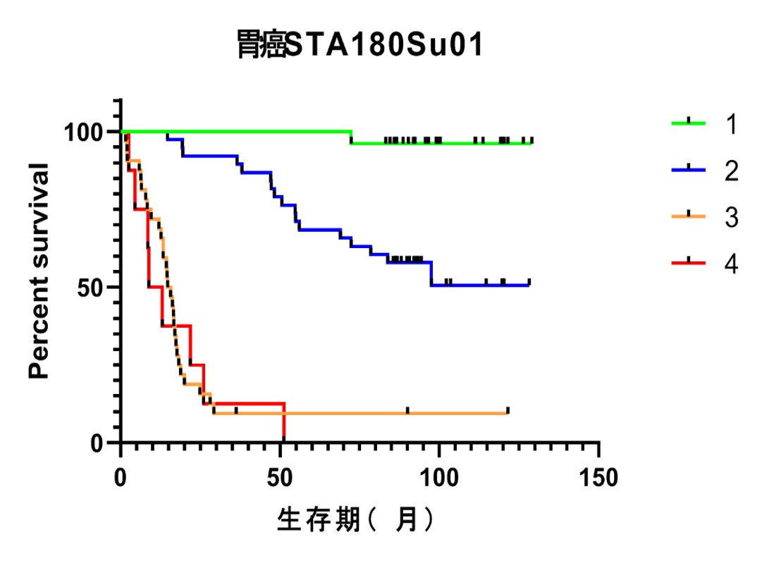 图片9.jpg
