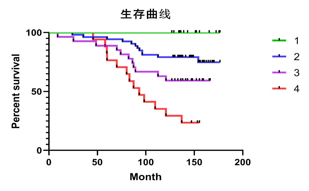图片10.jpg